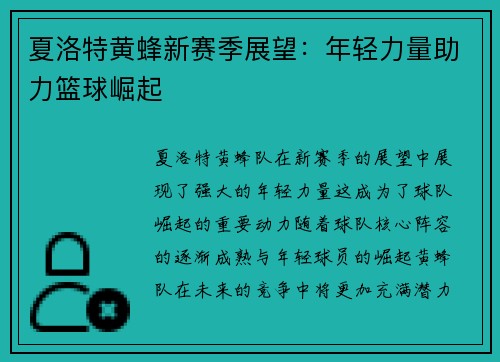 夏洛特黄蜂新赛季展望：年轻力量助力篮球崛起